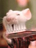sallzy allzy!  :rotfl: eu :